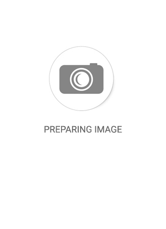 Hyundai Elantra 2015.2019 AD - Spoiler, Trunk, Sport, Raw Material Surface, ABS Elantra 2015.2019